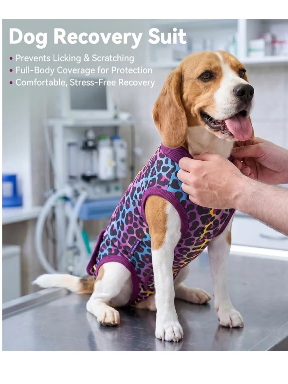Bright Leopard Print Dog Recovery Post Op Suit